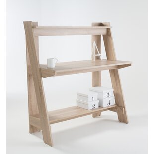 Saniyah store ladder bookcase